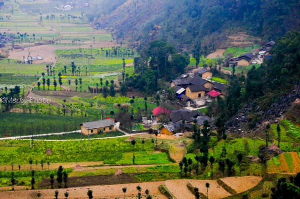 Thung lũng Sủng Là - nơi đá nở hoa